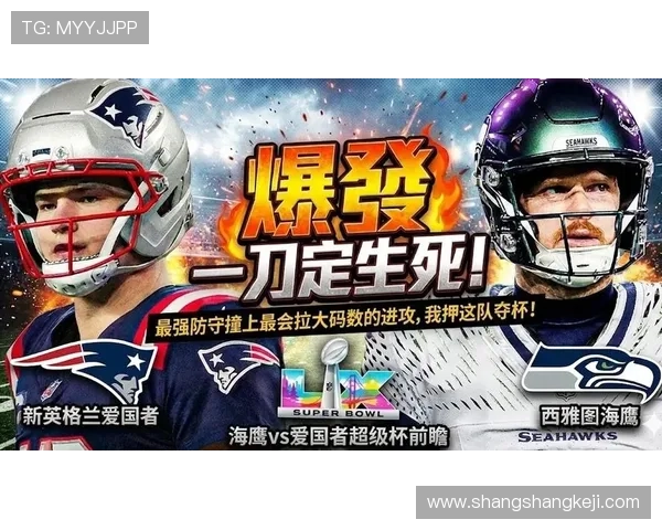 十一年后海鹰复仇爱国者夺二冠